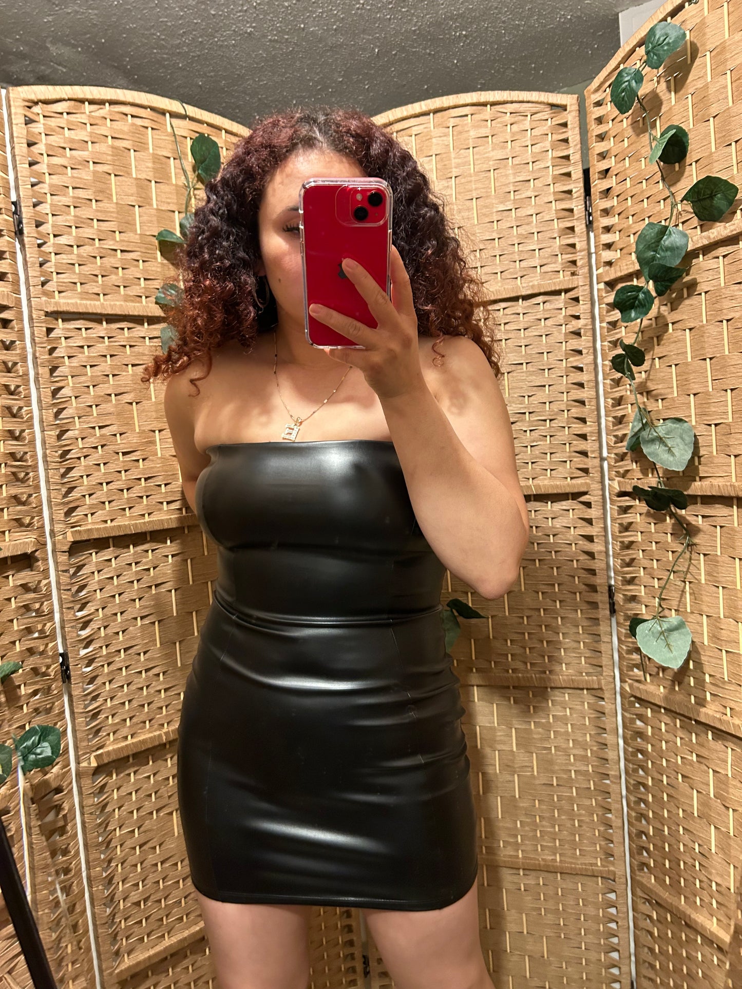 Tiffany Leather dress (Black)